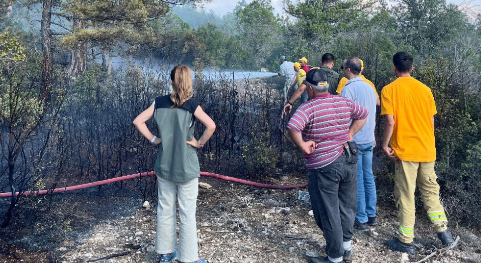 Burdur &Ccedil;eltik&ccedil;i'de orman yangını Ekipler seferber oldu