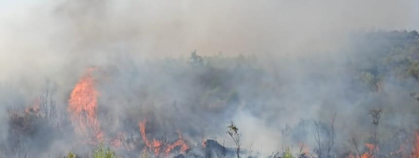 Burdur &Ccedil;eltik&ccedil;i&rsquo;de Orman Yangını Kontrol Altına Alındı