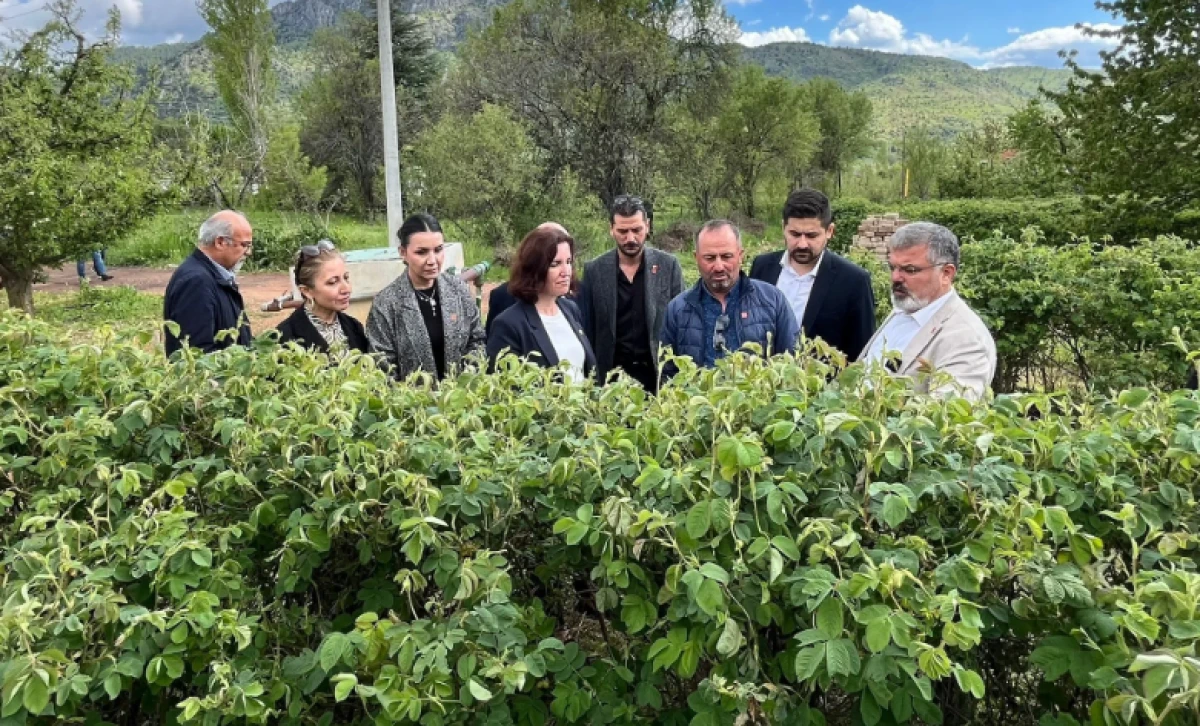 CHP heyeti doludan zarar g&ouml;ren k&ouml;ylerde inceleme yaptı