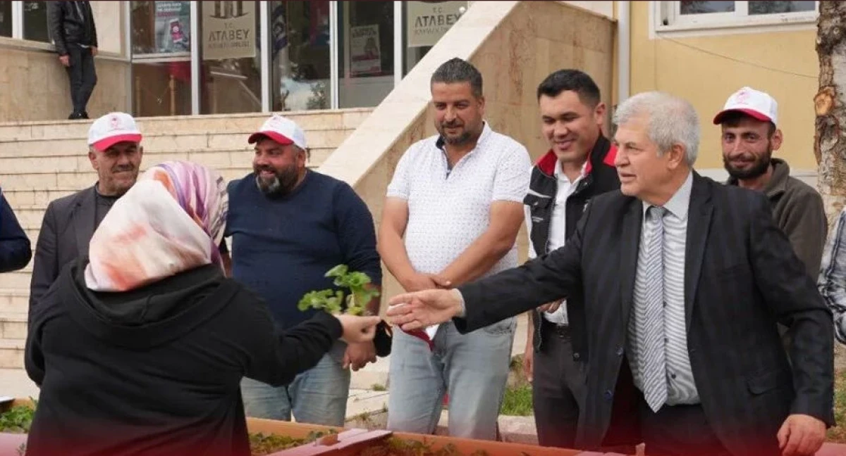   &Ccedil;ift&ccedil;ilere 9 Bin Kavun Fidesi Dağıtıldı