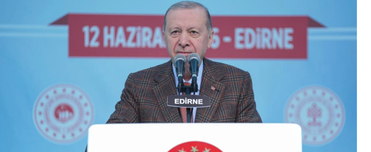 Cumhurbaşkanı Erdoğan: Siz milletvekili misiniz yoksa militan mısınız?