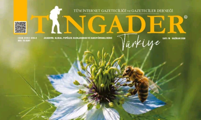 DEĞERLİ DOSTLAR