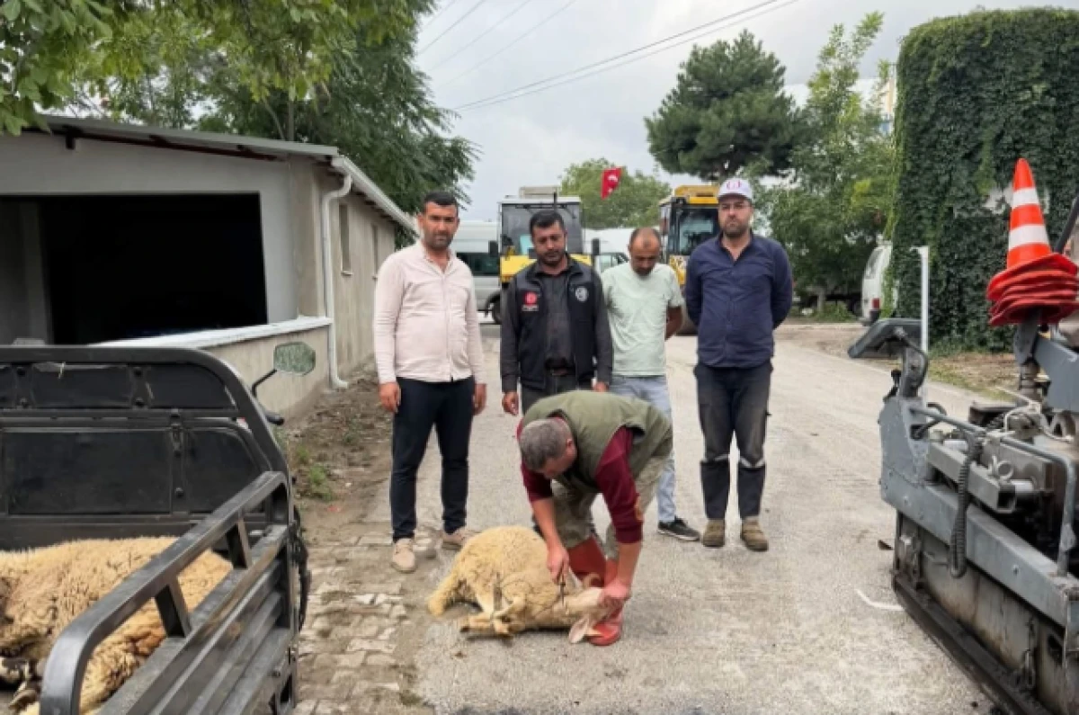 DEREG&Uuml;M&Uuml;&rsquo;NDE ASFALT SEVİNCİ: K&Ouml;Y MEYDANI VE OKUL &Ccedil;EVRESİ YENİLENDİ