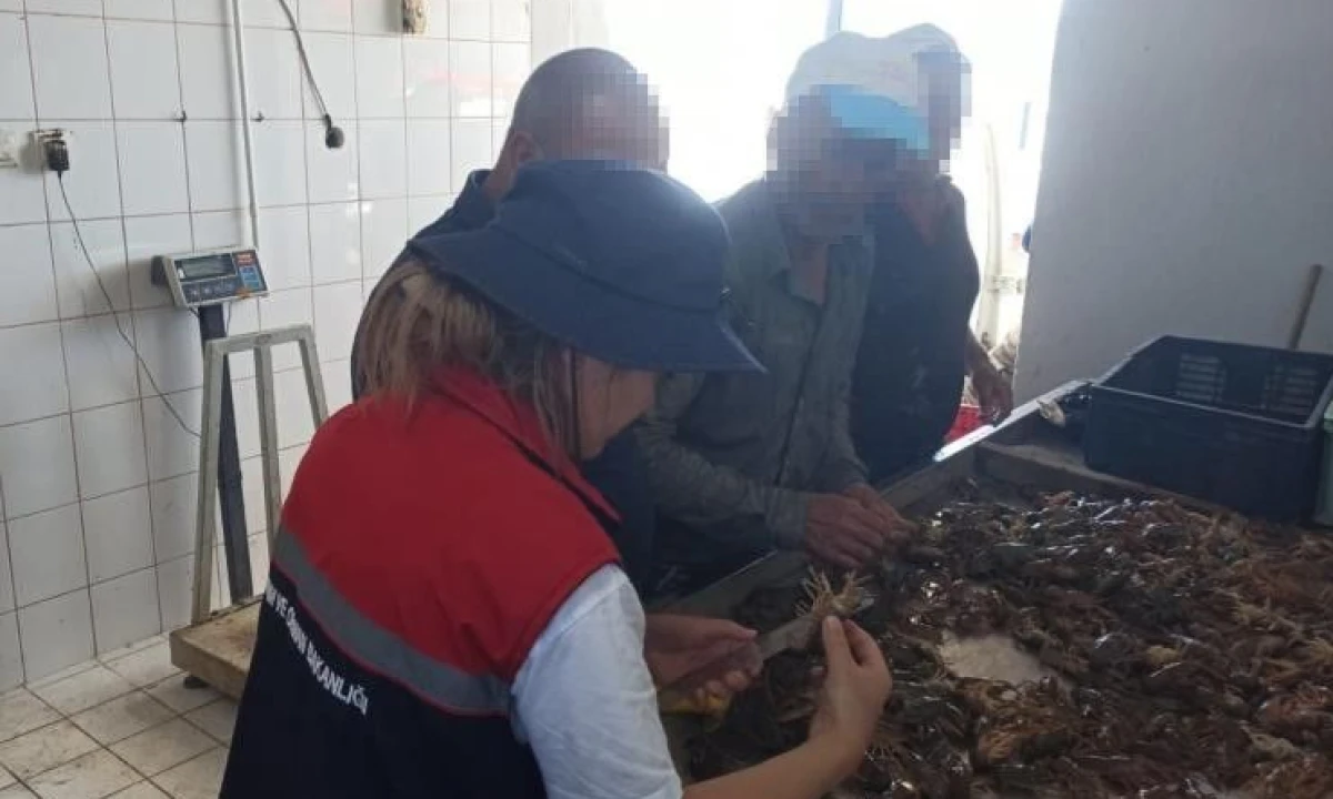 Eğirdir G&ouml;l&uuml;&rsquo;nde su &uuml;r&uuml;nleri denetimleri s&uuml;r&uuml;yor