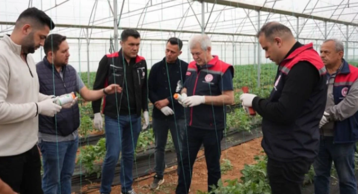 Isparta&rsquo;da &ouml;rt&uuml; altı &uuml;retimde &ldquo;dost kuvvetler&rdquo; iş başında