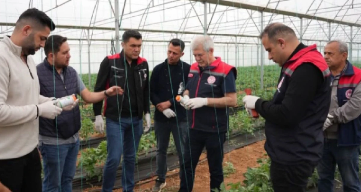 Isparta&rsquo;da &ouml;rt&uuml; altı &uuml;retimde &ldquo;dost kuvvetler&rdquo; iş başında