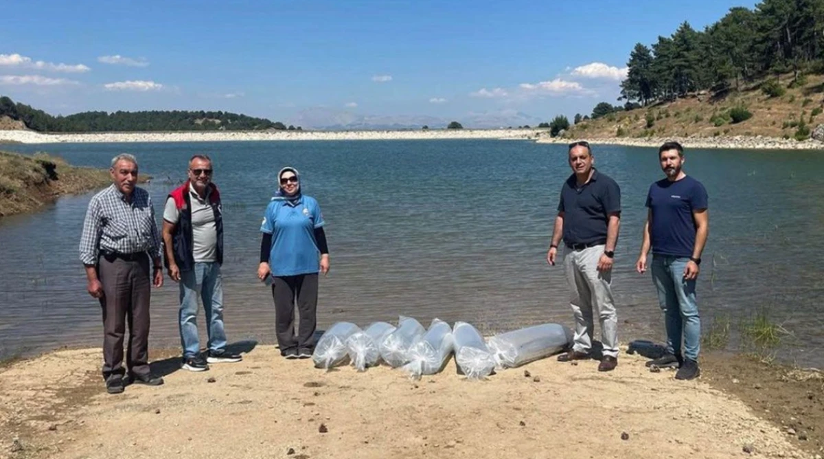 Isparta&rsquo;nın Su Kaynakları Balıklandırıldı