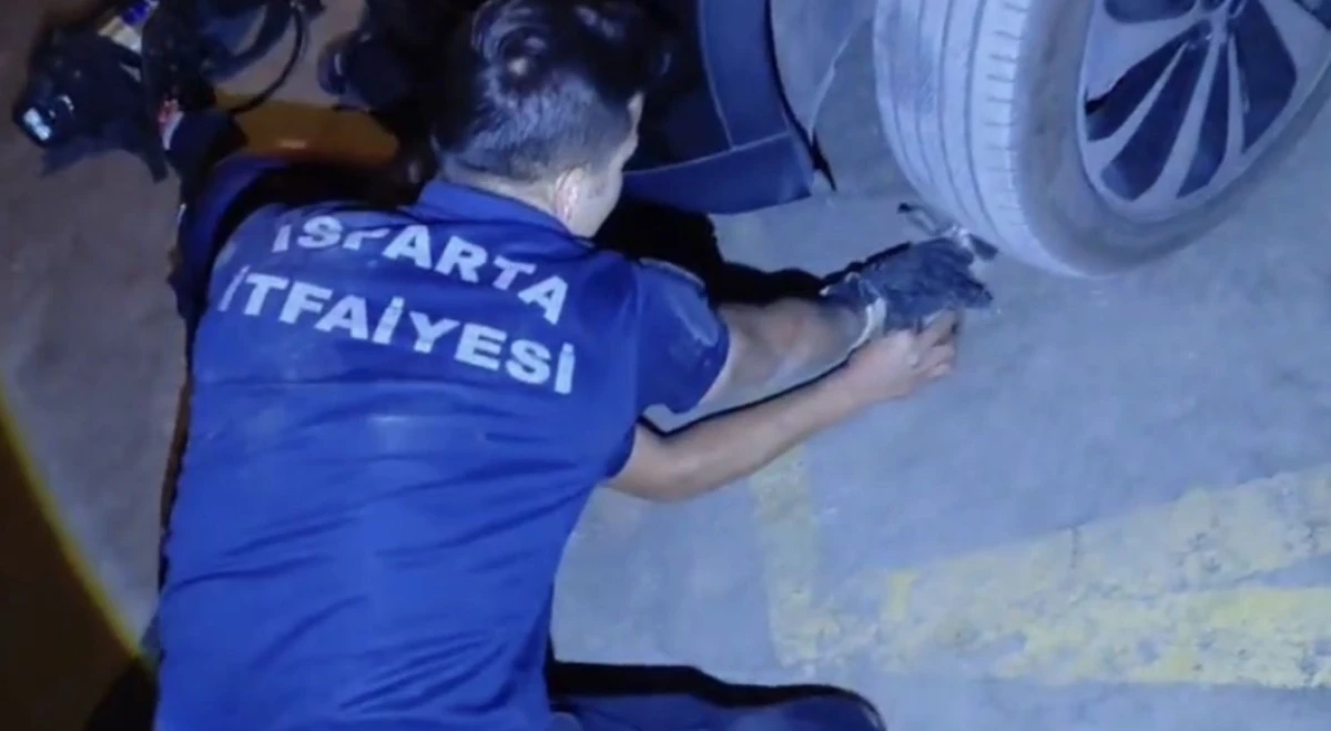 İtfaiye Ekipleri Yetişti! Mahsur Kalan Kedi Kurtarıldı