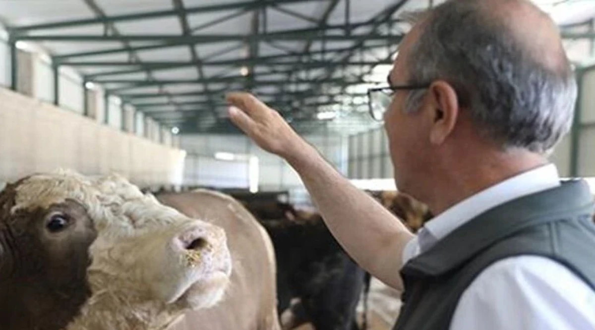 Kurban Bayramı Uyarısı: &ldquo;Kesim ve Atık Konusunda Hassas Olunmalı&rdquo;