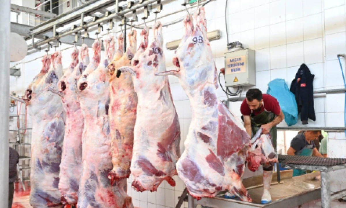 M&uuml;ft&uuml; Bi&ccedil;er&rsquo;den Kurbanla İlgili En &Ccedil;ok Sorulan Sorulara Yanıt
