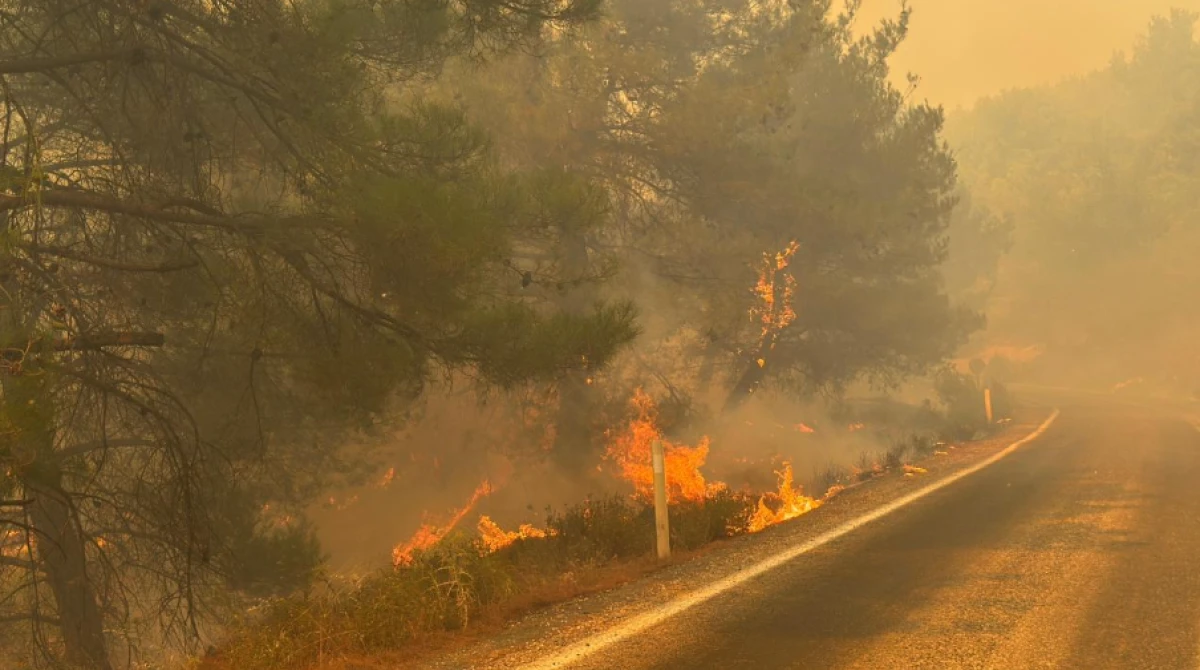 Orman yangınıyla ilgili 12 ş&uuml;pheli tutuklandı