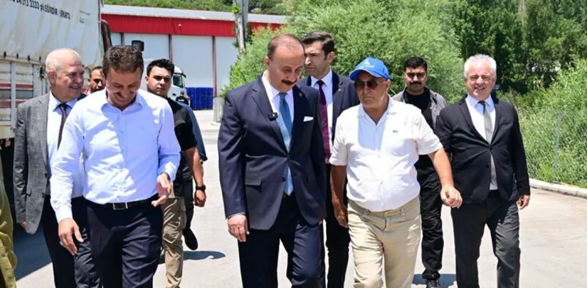 Vali Abdullah Erin'den Isparta Kirazına Yerinde Destek